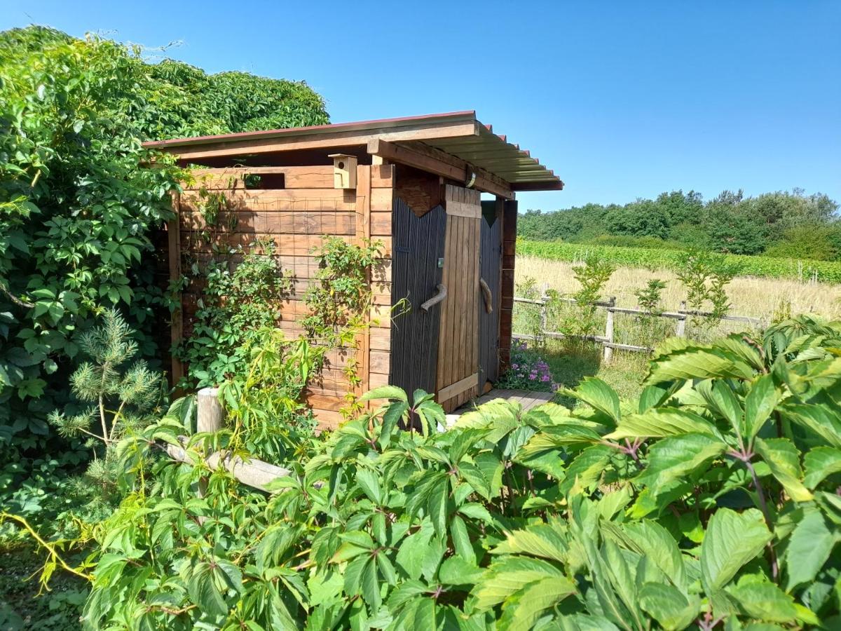 Le Clos De Epinettes Angé エクステリア 写真
